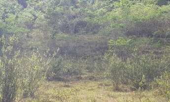 Imagem 6: Sítio 2,5 alqueires