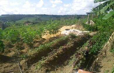 Imagem 3: Vendo um terreno