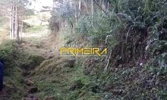 Imagem 5: Excelente Terreno de 3,5 alqueires, com lagos artificiais à venda, Vila Gilcy, Campo Largo