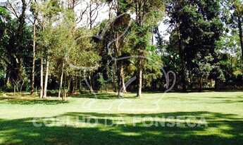 Imagem 6: São Paulo - Chácara - Riviera Paulista