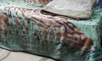 Imagem 5: Imóvel 3dts Vila Hortência