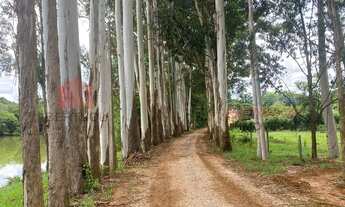 Imagem 5: Terreno/ Lote à venda, Jardim Ecoville - Vinhedo/SP