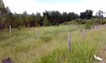 Imagem: Sítio em Itapetininga