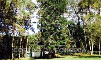 Imagem 7: São Paulo - Chácara - Riviera Paulista