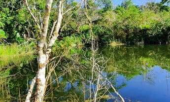 Imagem 7: Chácara - Pronto para Morar