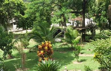 Imagem 3: Estrada Niterói Friburgo Excelente Sítio Lazer/Residência