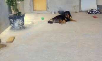 Imagem 9: Casa a venda - Jandira/Sp