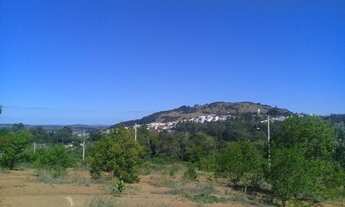 Imagem 2: Porto Alegre - Terreno Padrão - Jucá Batista