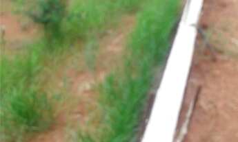 Imagem 6: Maravilhoso terreno beira do Lago Murado e plano vizinho casas alto Padrão Linda Vista!