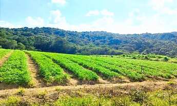 Imagem 2: Lote/Terreno para venda tem 500 metros quadrados em Centro - Itapecerica da Serra - SP