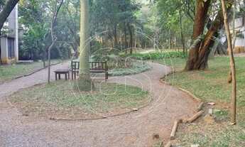 Imagem 7: São Paulo - Apartamento Padrão - Alto da Boa Vista