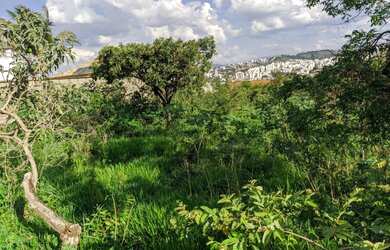 Imagem 2: Lote no bairro bandeirantes