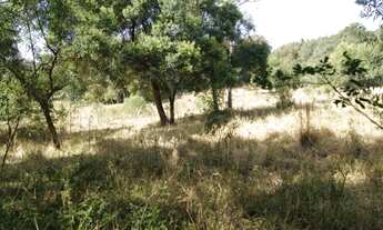 Imagem 4: Sitio Pilar do Sul (SP