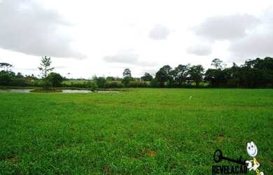 Imagem 7: Chácara de 24200 m² com casa sede, por R$ 2.350.000,00 - Colônia Murici - São José dos Pin