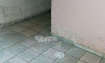 Imagem 4: Casa pra vender Casa com 2 dormitórios