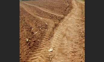 Imagem 4: N01- Terrenos de 450mtrs localizados em área bem centralizada ótimo para investimento