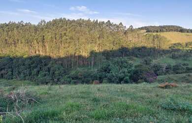 Imagem 2: Fazenda 80 hectares Juiz de Fora