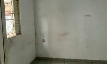 Imagem 2: Kit net Alice Maia