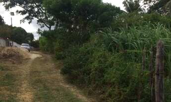 Imagem: Igarassu - Terreno Padrão - lt br gt