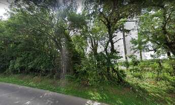 Imagem 3: Área para venda com 24.373 m2 no bairro Ganchinho em Curitiba