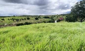 Imagem 5: Excelente fazenda com 21,6 hectares de porteira fechada com 35 animais