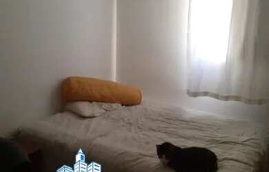 Imagem 6: SãO PAULO - Padrão - Campo Limpo