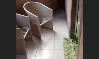 Imagem 2: VENDO CASA EM BROTAS