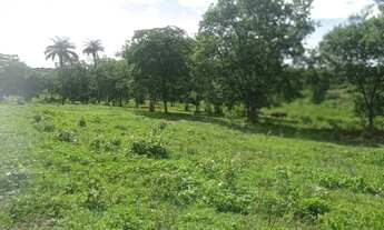 Imagem 6: FAZENDA À VENDA EM NORTE DE MINAS