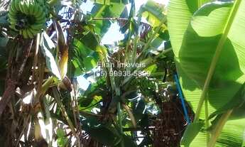 Imagem 6: Casa Residencial à venda no Centro-Sul de Cuiabá ideal para área de co