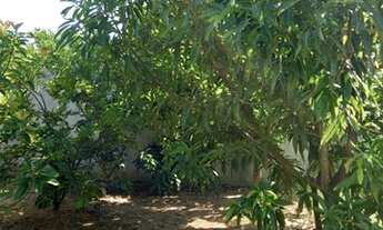 Imagem 2: Excelente lote 300 m² em Guaratiba - 20 min. do Recreio - RJ