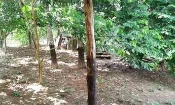 Imagem: Vende-se chácara