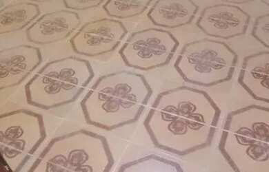 Imagem 6: Casa para alugar