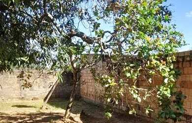 Imagem 7: CASA TROCA-SE POR OUTRA CASA OU VENDE-SE