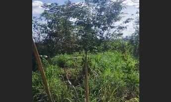 Imagem 6: Terreno bairro porto centro