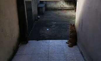 Imagem 3: Casa para Locação - Bairro Camargos - 2 Quartos, Garagem Coberta, Terreiro, Aceita Pet