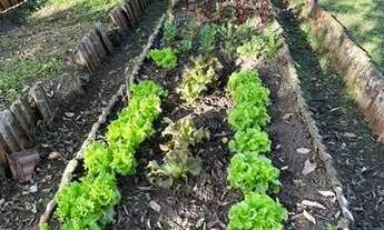 Imagem 5: Lindo sitio Vendo ou permuto