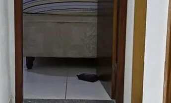 Imagem 7: Venda de imovel ou troca