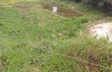 Imagem 6: Chácara 3.700mts rio a cima Alagoa mg