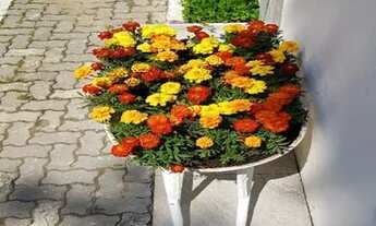 Imagem 7: CASA PARA VENDA NA PRAIA DE JUQUEHY