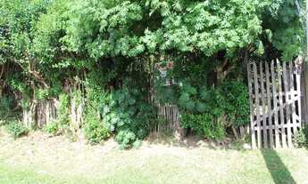 Imagem 3: SAPUCAIA DO SUL - Terreno Padrão - Pasqualini