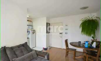 Imagem 3: SAO PAULO - Apartamento Padrão - CAMBUCI