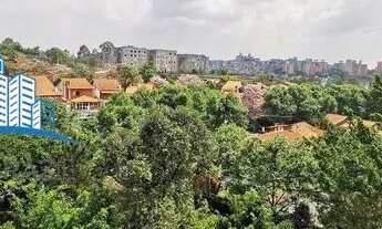 Imagem 4: SãO PAULO - Padrão - Horto do Ype