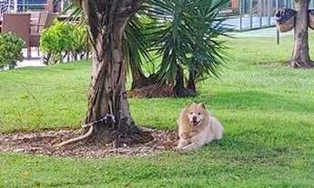 Imagem 2: Casa no Condomínio Melício Machado !