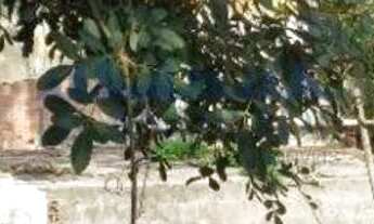 Imagem 5: Freguesia (Jacarepaguá