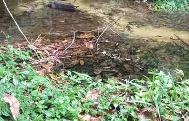 Imagem 6: Terreno em Iranduba, muito top