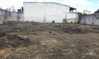 Imagem 4: Lote Terreno para venda tem 1350 metros quadrados em Setor Coimbra - Goiânia - GO