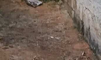 Imagem 2: Venda Casa com 5 banheiros