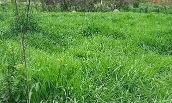 Imagem 4: CHÁCARAS com 1000mts perto de BH, 2x = R$10.000,00 mais parcelas