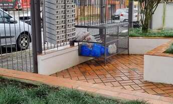 Imagem 7: ATENÇÃO LINDO ED. PEQ. EM LOCAL PREVILEGIADO (AMPLO AP. 1 DORM. COM GAR.) IMPECA