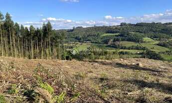 Imagem: Área Pinhal Alto- Nova Petrópolis/RS